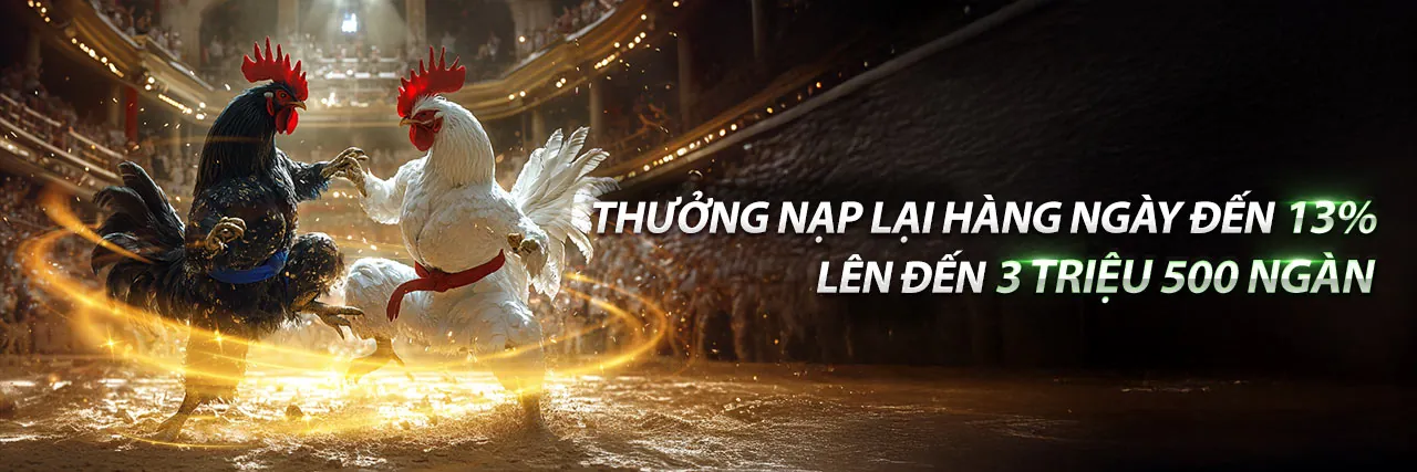 Hình ảnh đá gà đường phố kịch tính tại U888
